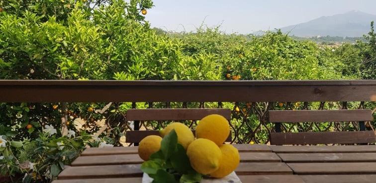 L'Aranceto Βίλα Acireale Εξωτερικό φωτογραφία