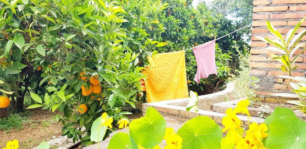 L'Aranceto Βίλα Acireale Εξωτερικό φωτογραφία