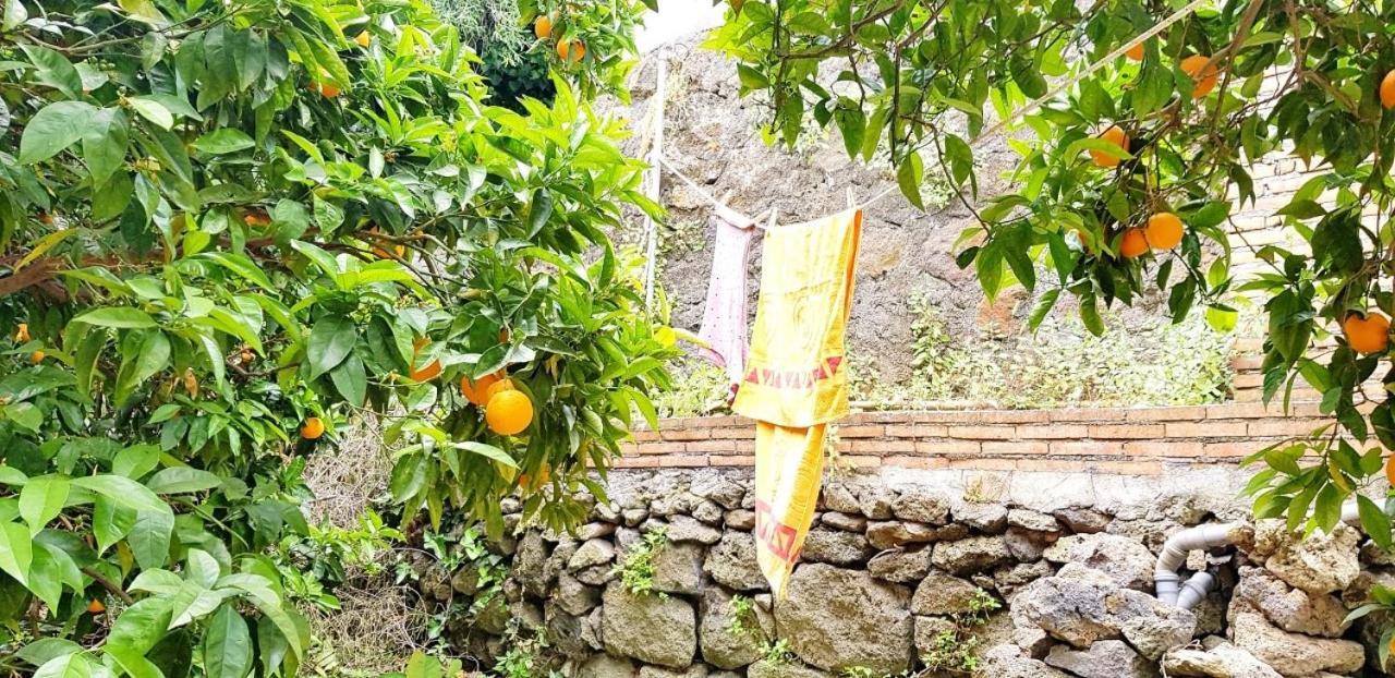 L'Aranceto Βίλα Acireale Εξωτερικό φωτογραφία