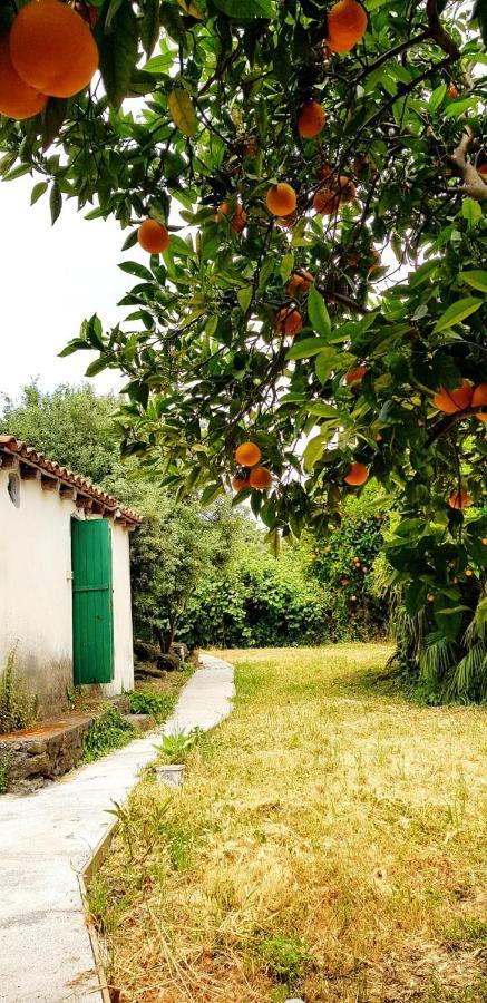 L'Aranceto Βίλα Acireale Εξωτερικό φωτογραφία