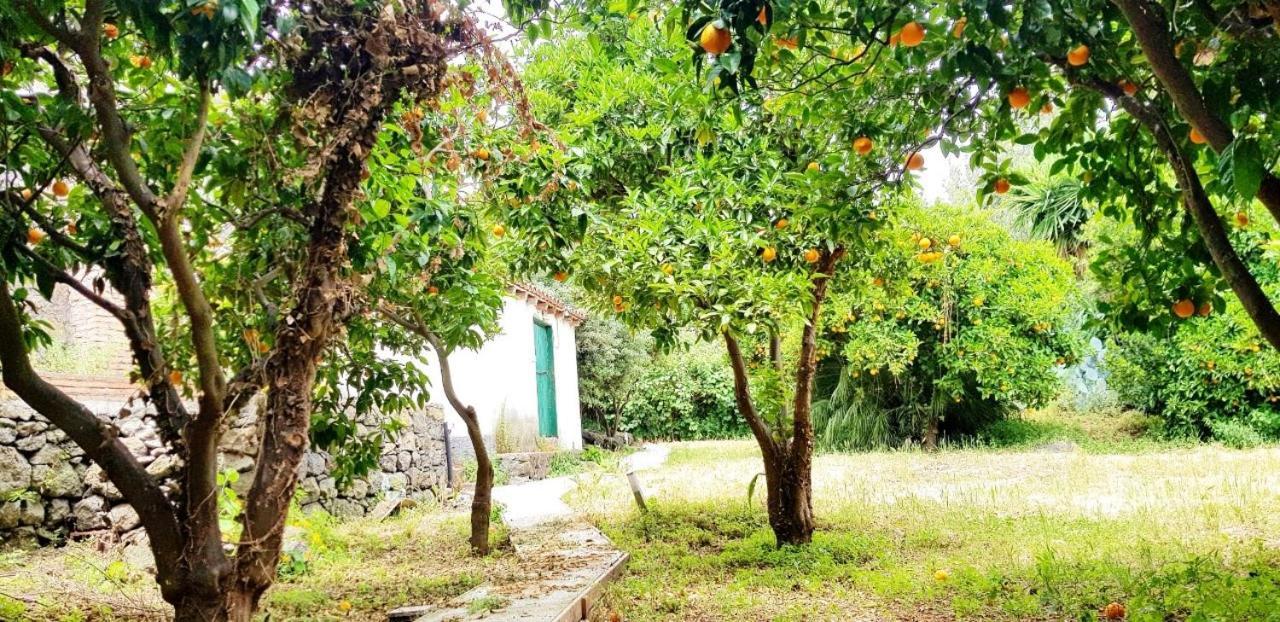 L'Aranceto Βίλα Acireale Εξωτερικό φωτογραφία